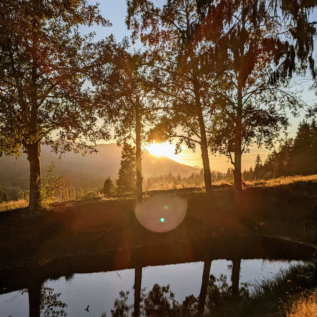 Sunset over small pond