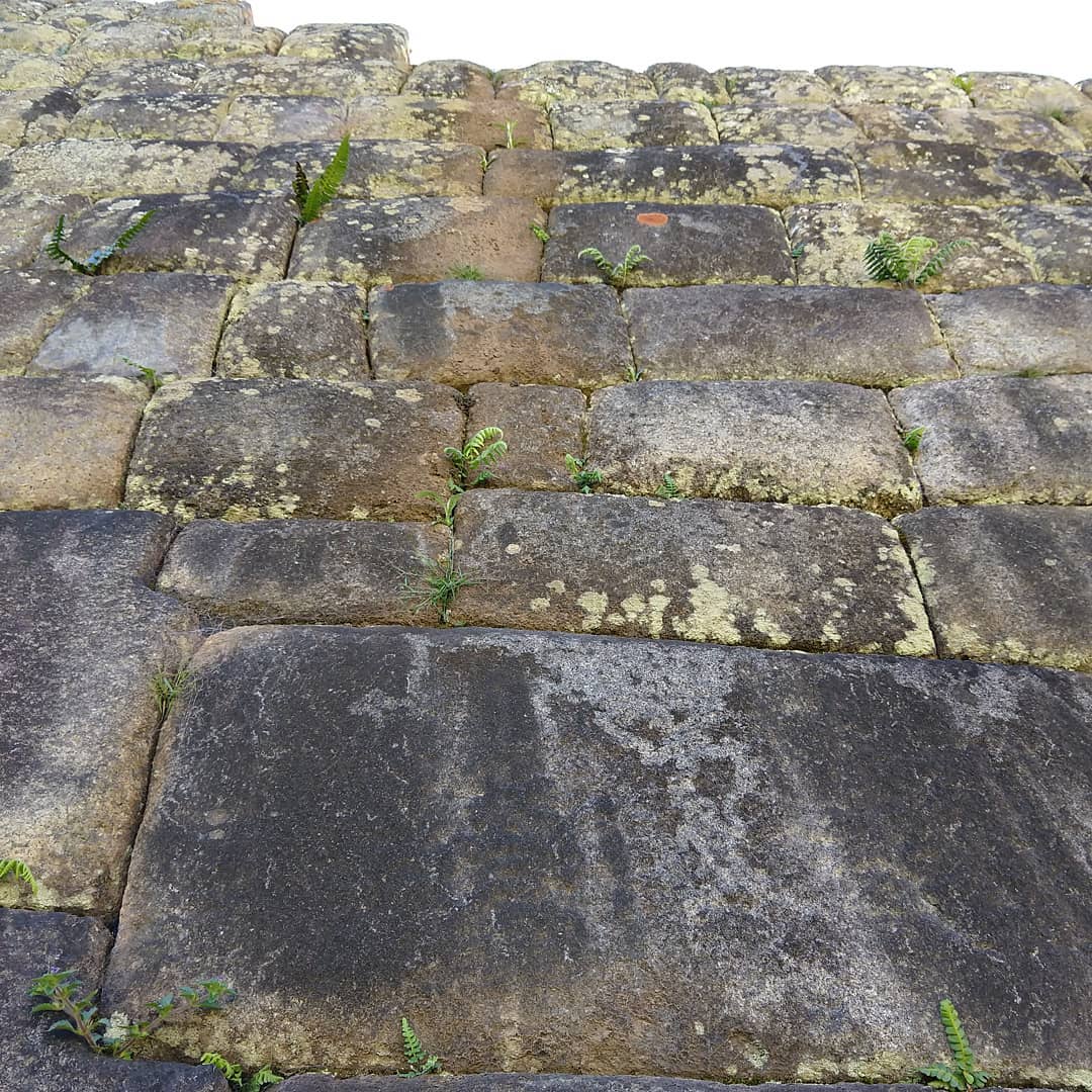 Closeup of a stone wall with large blocks covered in lichen.