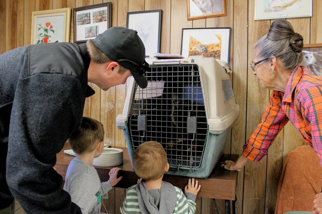 Two boys and a man looking at a bird in a kennel while an older woman looks over.