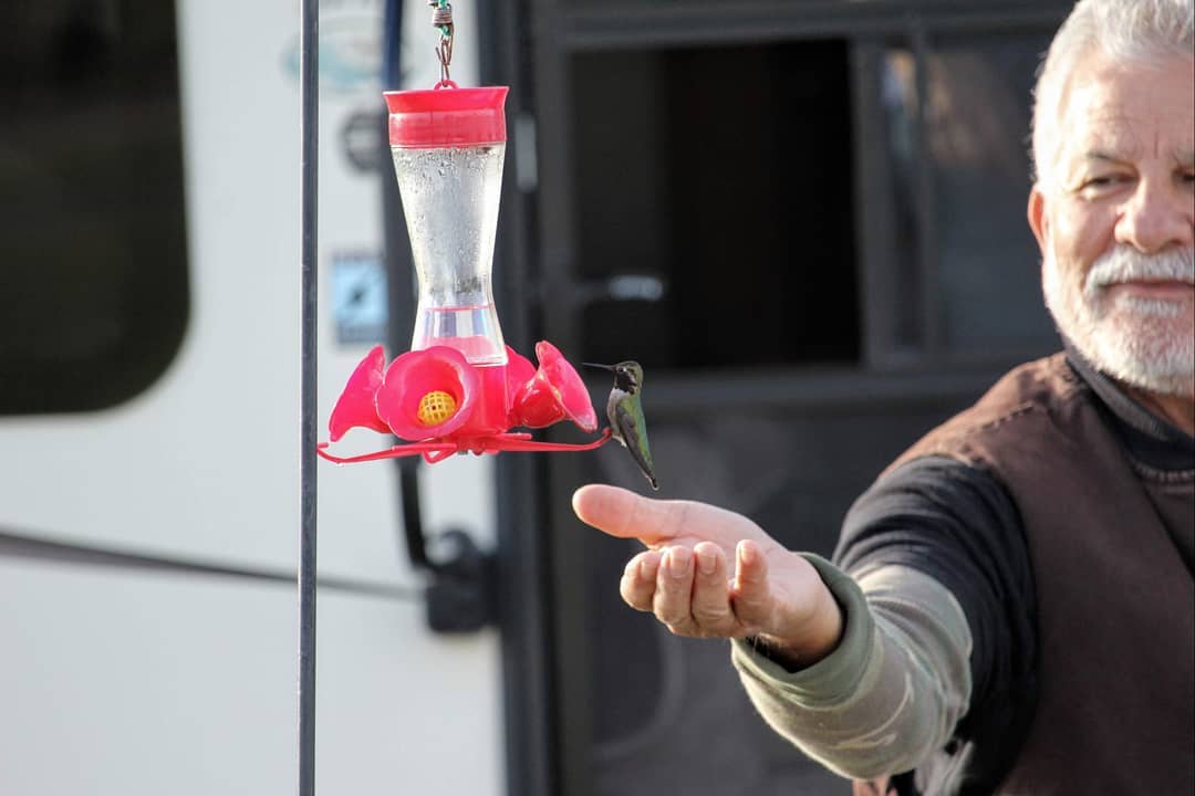 A man reaching out his hand to a hummingbird who is on a bird feeder.