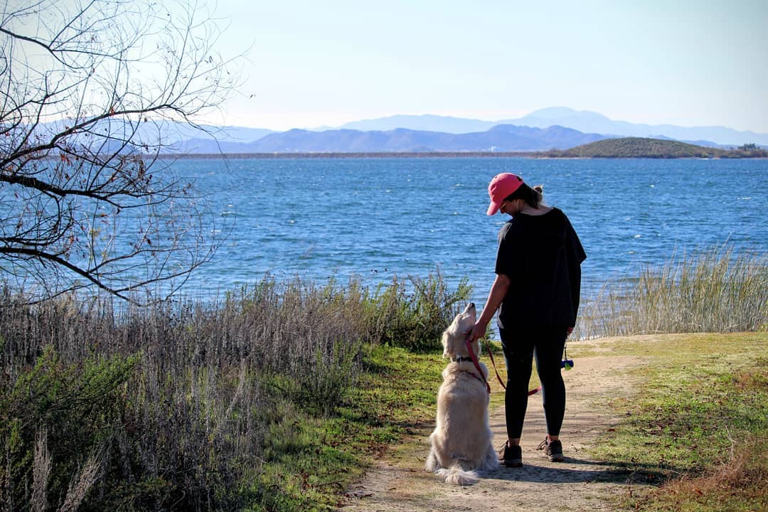 A woman looking down at a dog in front of a large lake with hills in the distance.