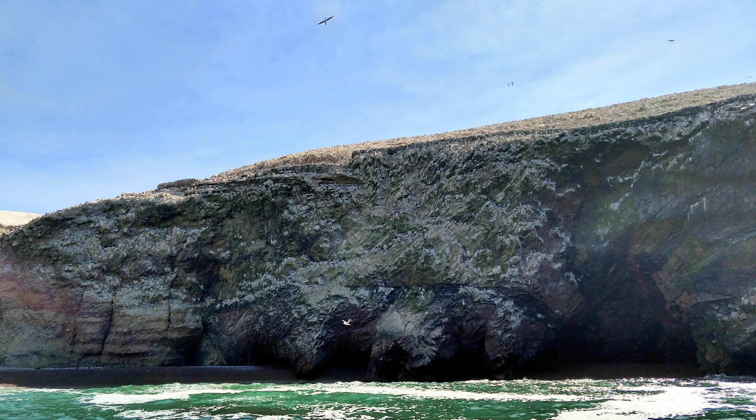 Rock face with thousands of birds on the Ballestas Islands