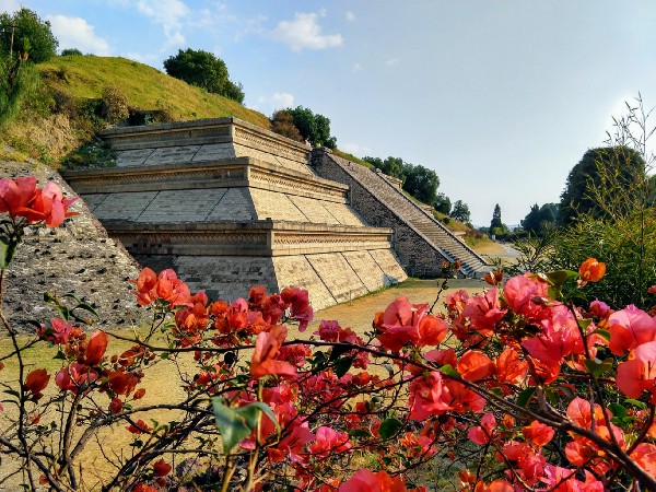 hillside with a section of a tiered pyramid exposed, red flowers in the foreground